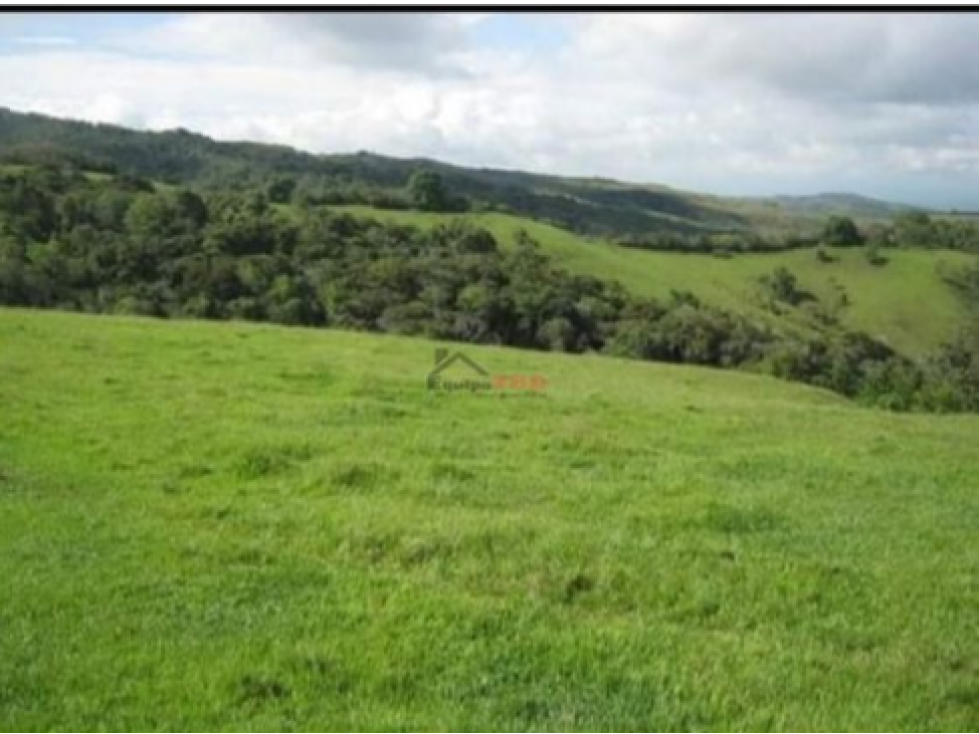 Venta Finca en Trujillo, Valle del Cauca, Ganadera