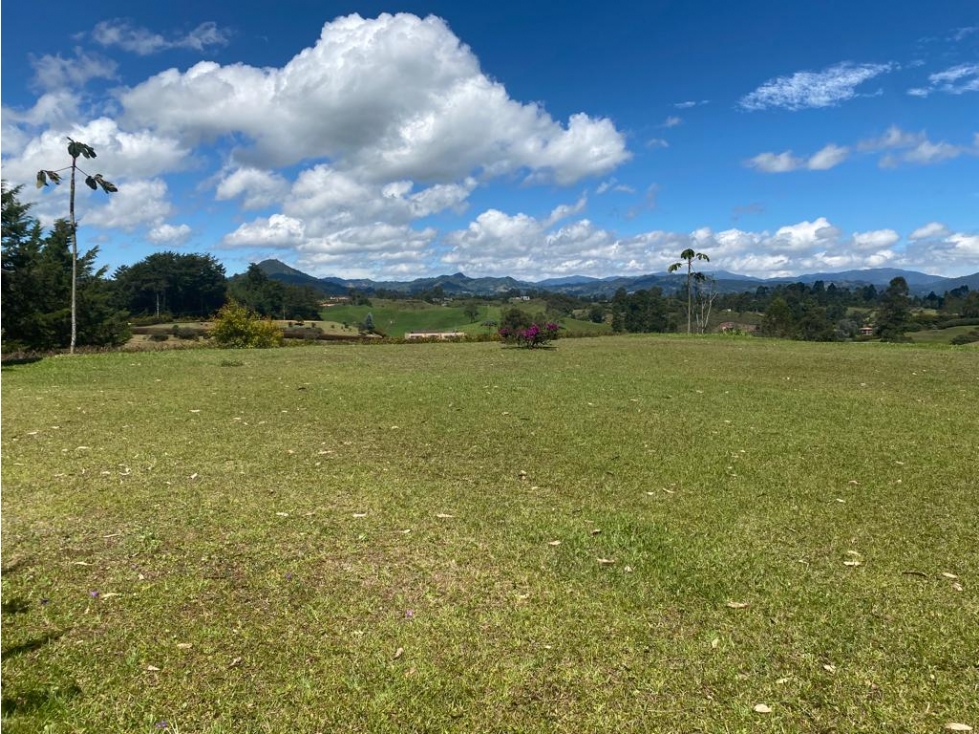 Vendo lote en ojo de agua,excelente terreno.