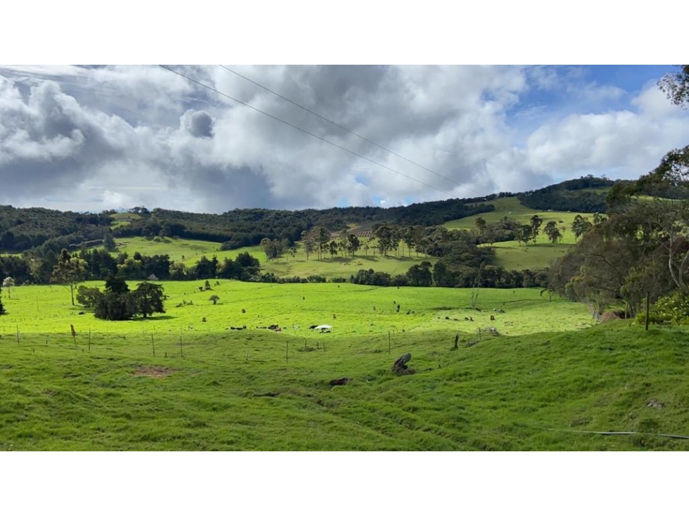 Venta Lote Alto de Las Palmas sector La Acuarela Prados de Bracamonte