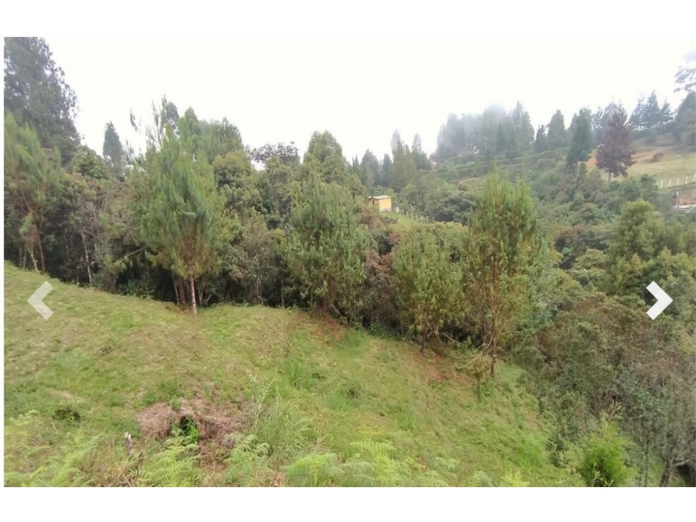 Venta de Lote Vereda Alto de La Virgen en Guarne, Antioquia.