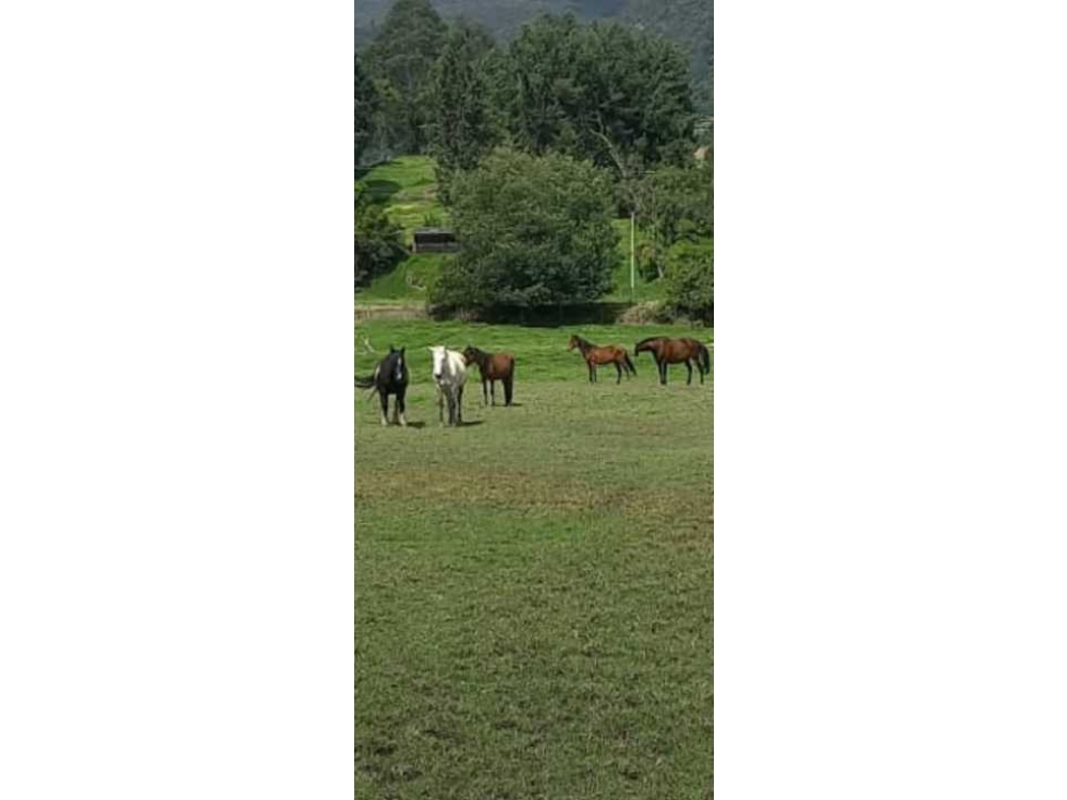 EN VENTA LOTE EN TABIO - CUNDINAMARCA