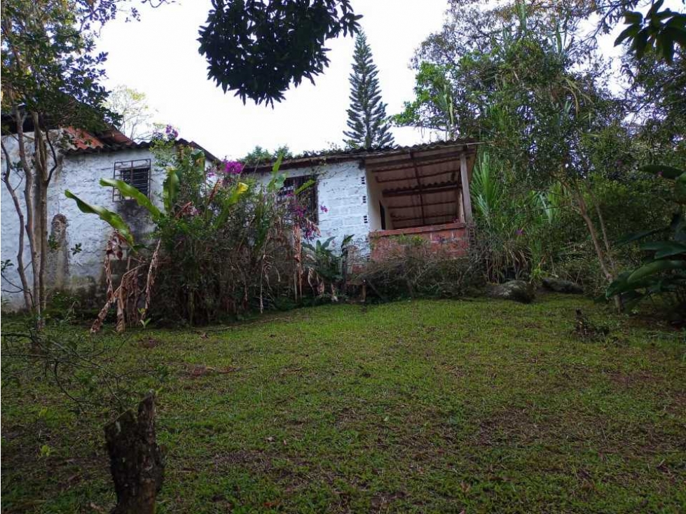 Finca en Fredonia. Antioquia  Vereda el Cinco