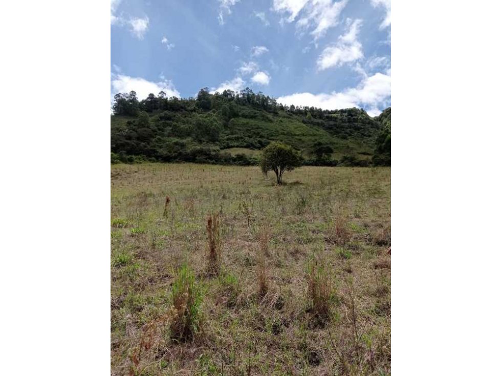 Finca en venta en el Municipio de Yacuanquer, vereda Arguello