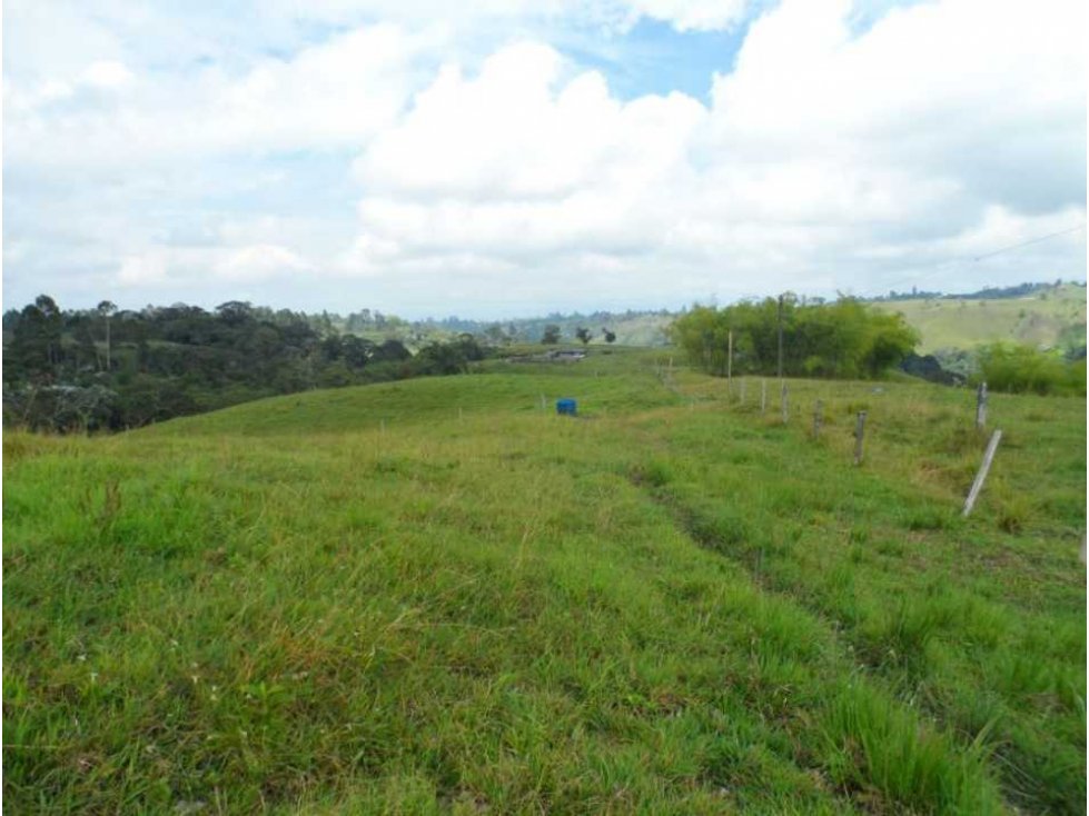 Finca ganadera para la venta en Circasia