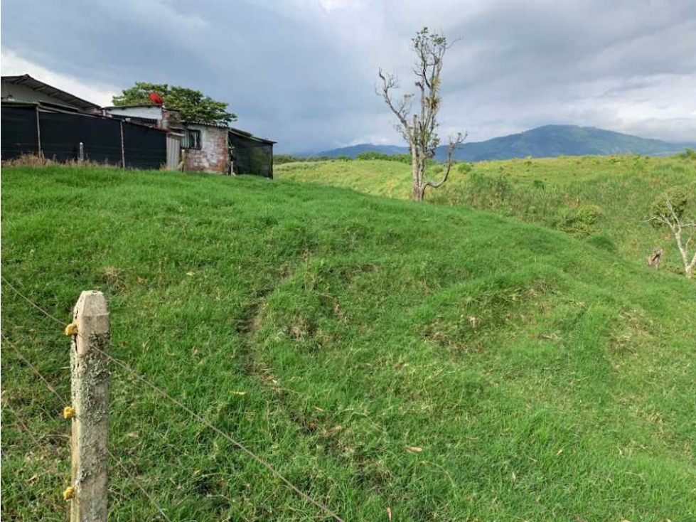 Finca para la venta en la vereda hojas anchas de circasia