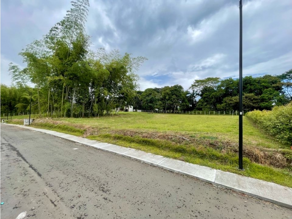 VENTA  LOTE PLANO EL TIGRE CERRITOS PEREIRA