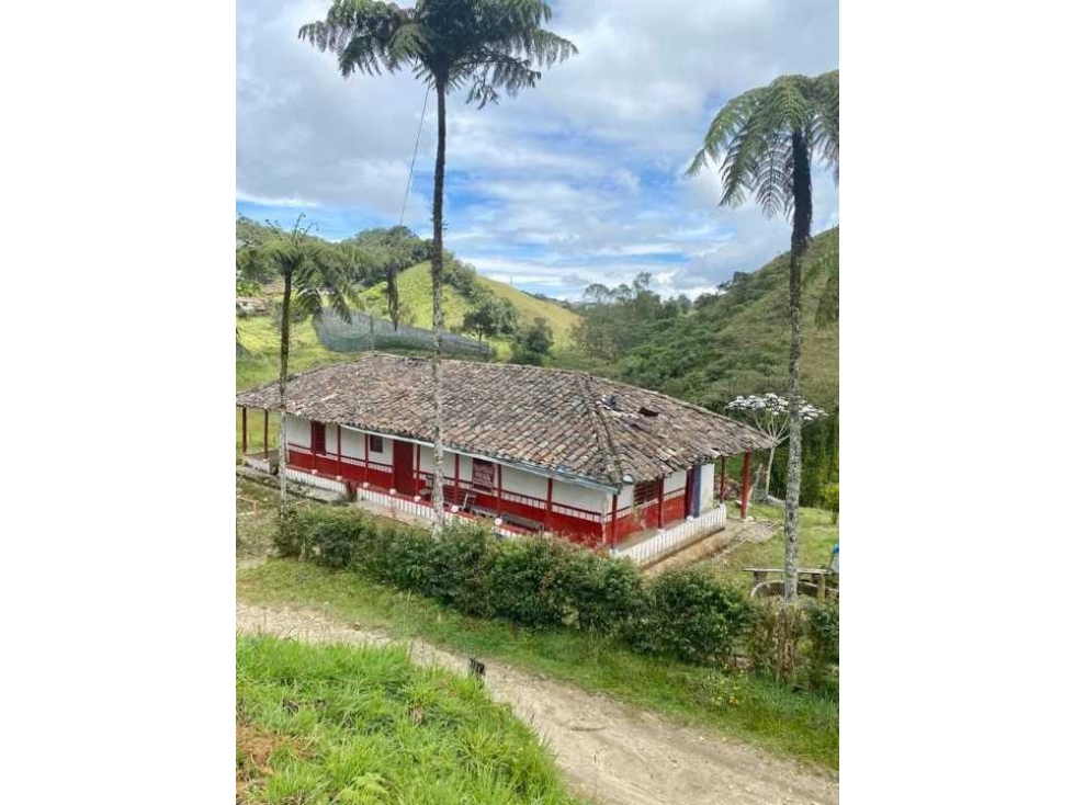 LOTE PARA LA VENTA LA CEJA