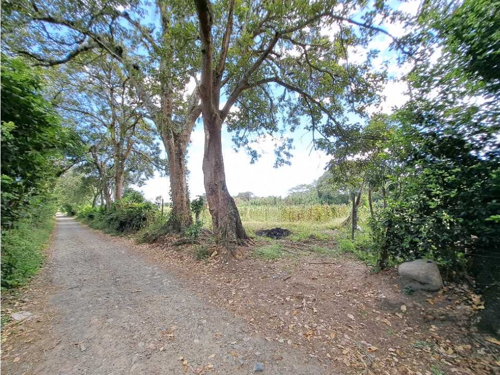 LOTE - VENTA - FLORIDA - SAN FRANCISCO - VALLE DEL CAUCA