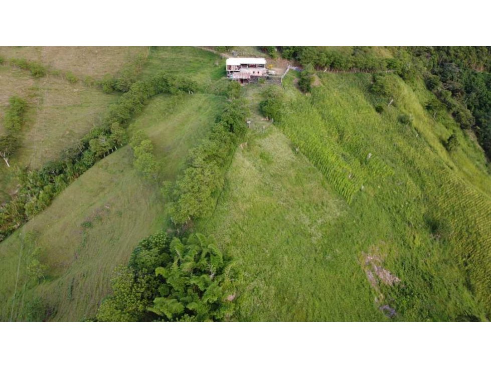 Se vende finca en aguadas caldas