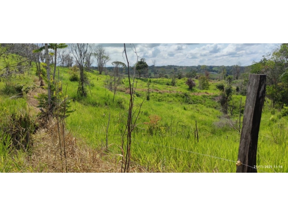 SE VENDE FINCA GANADERA EN BARRANCABERMEJA CORREGIMIENTO EL CENTRO