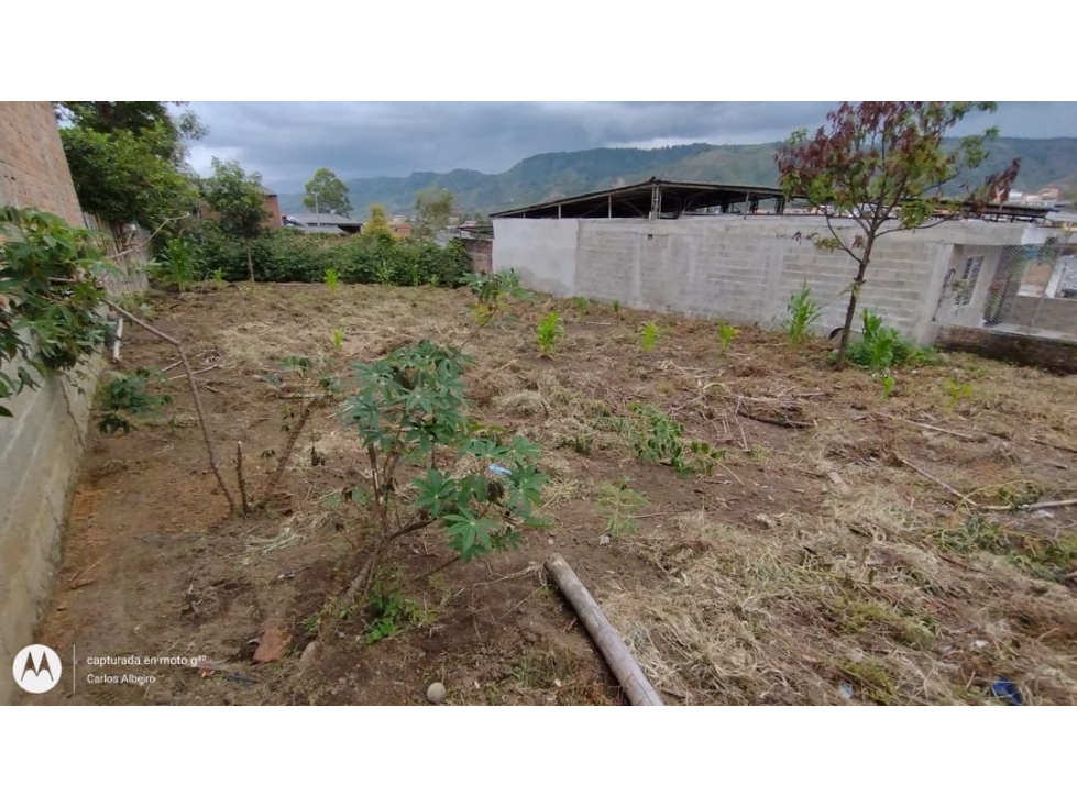 SE VENDE LOTE EN PIENDAMÓ CAUCA BARRIO OASIS MIP.CW6488221