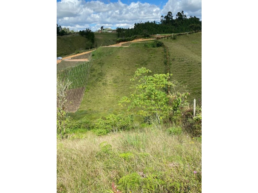 Ven cambio lote en Marinilla vereda chocho mayo a 2.5 km de l vía ppal