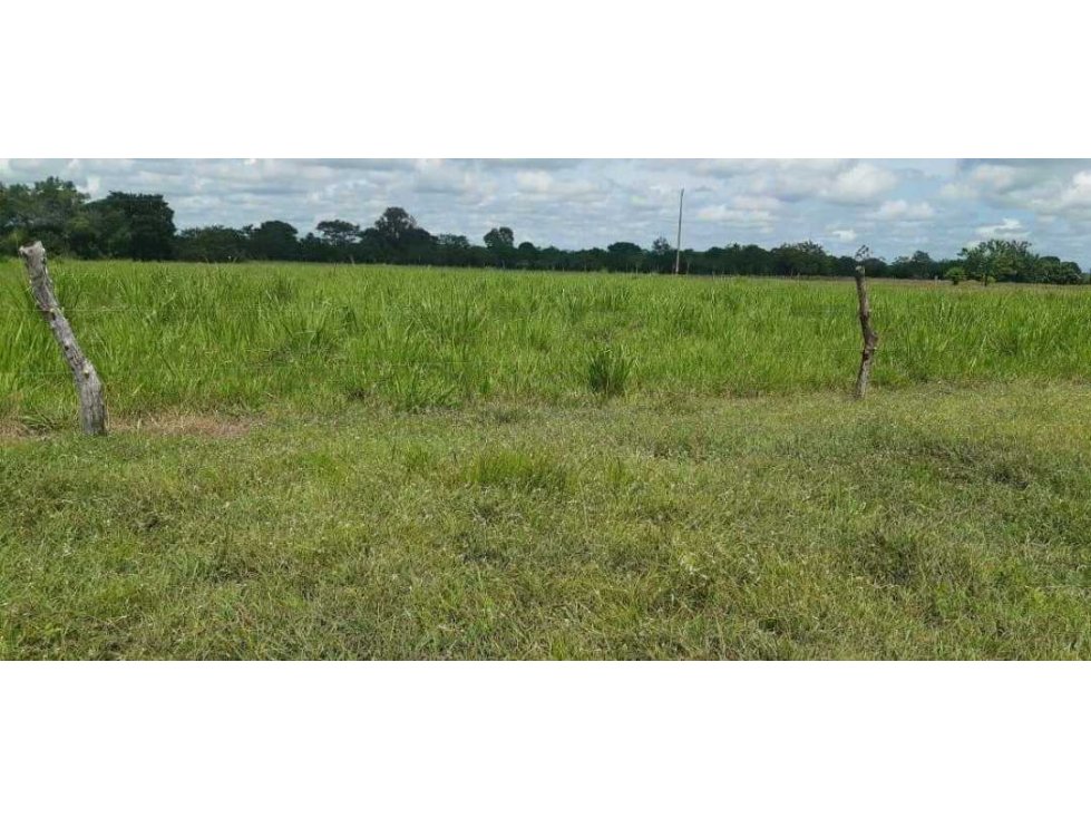 VENDO FINCA GANADERA EN LOS ÁNGELES CÉSAR, 20 HECTÁREAS PLANAS