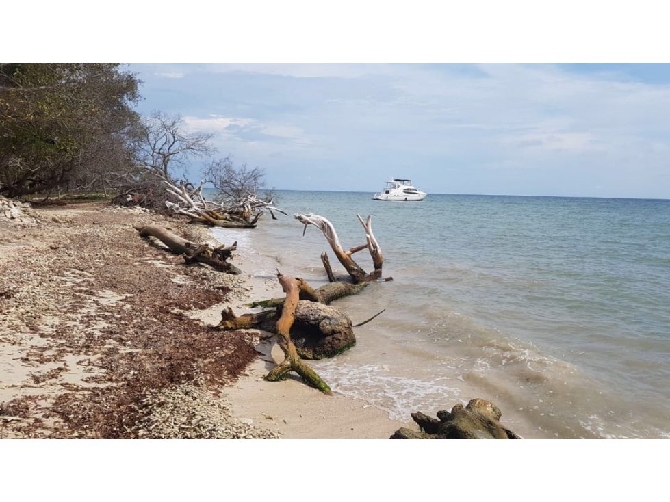 Vendo lote de playa en isla de baru cartagena