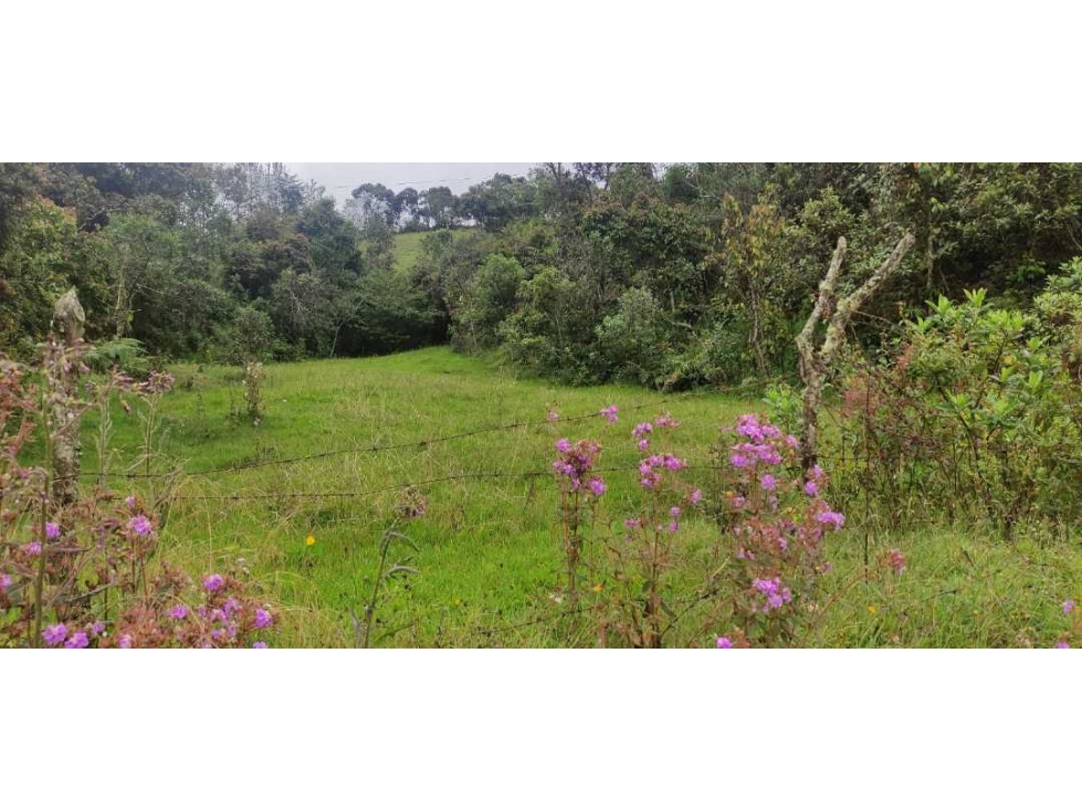 Vendo lote en Guarne 11.000mt2  Vereda Guapate