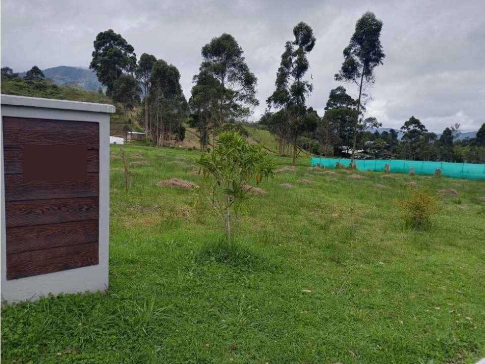 VENDO LOTE EN RESERVA SILVESTRE EN LA CEJA