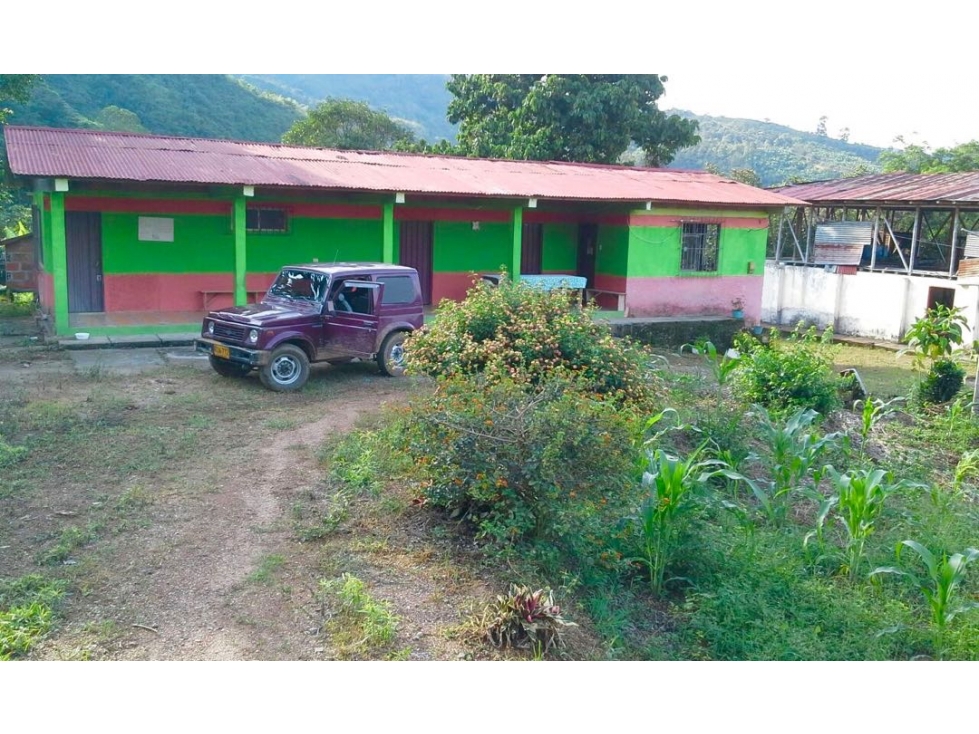 VENTA DE FINCA EN BALBOA RISARALDA 35 CUADRAS