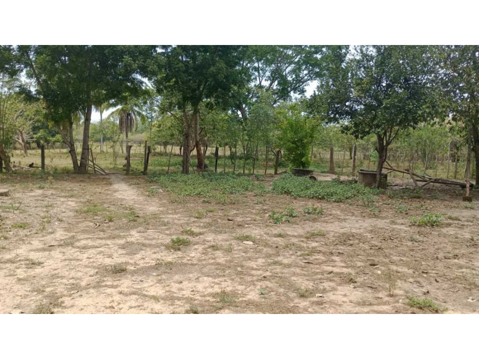 VENTA DE FINCA EN BAYUNCA BOLIVAR