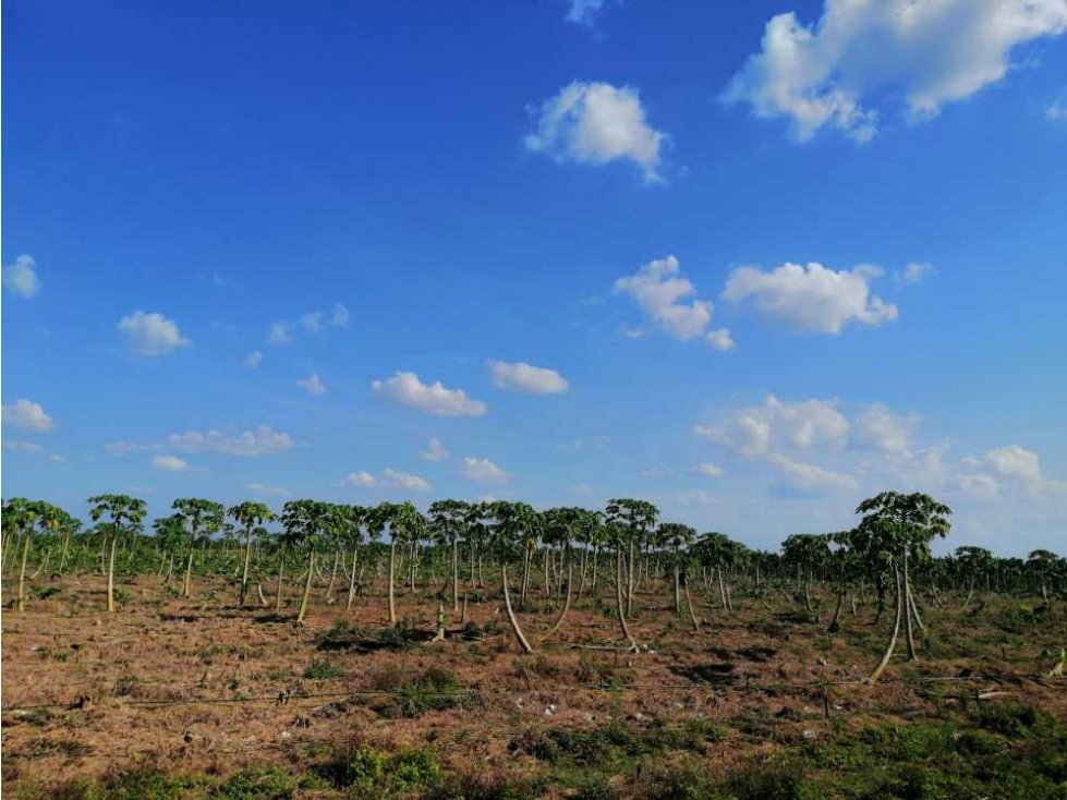 VENTA DE FINCA EN CERETE, CÓRDOBA