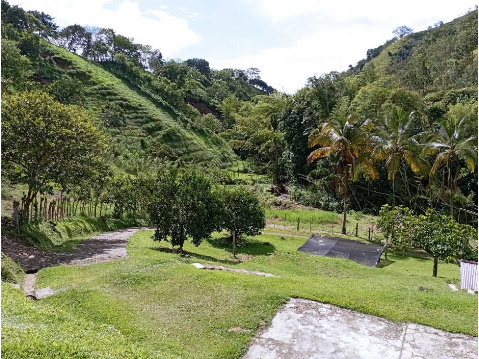 VENTA FINCA DAMASCO, SUROESTE ANTIOQUEÑO