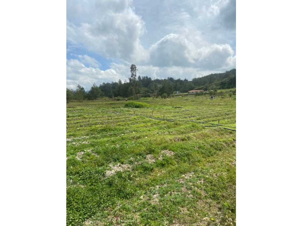 VENTA FINCA GUARNE VEREDA OVEJAS