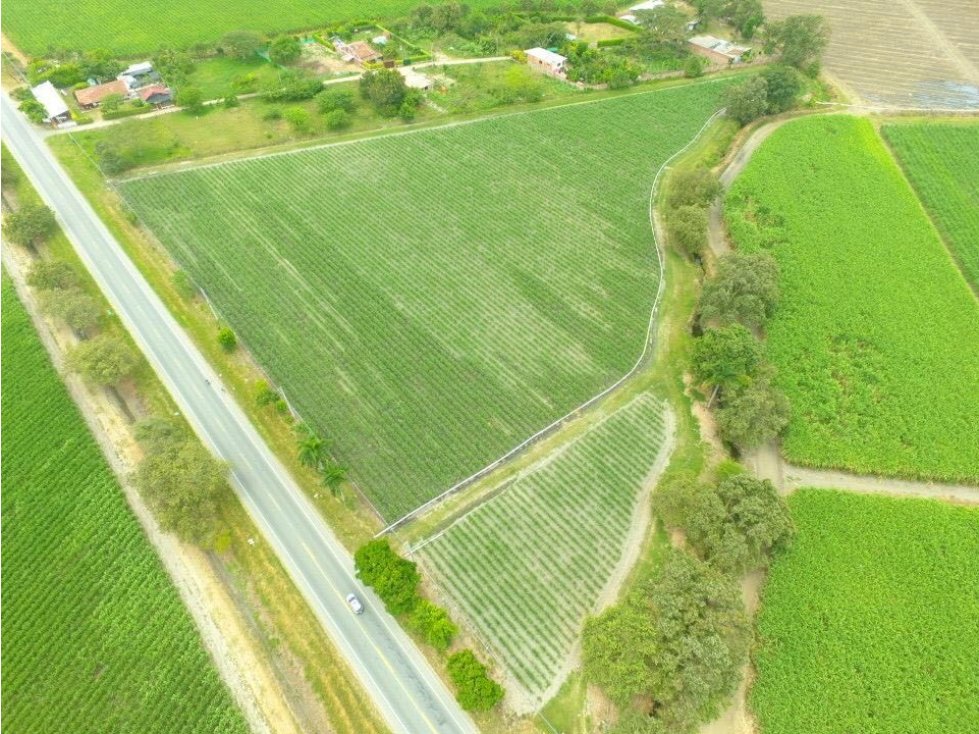 Venta Lote en Municipio Candelaria, Valle del Cauca