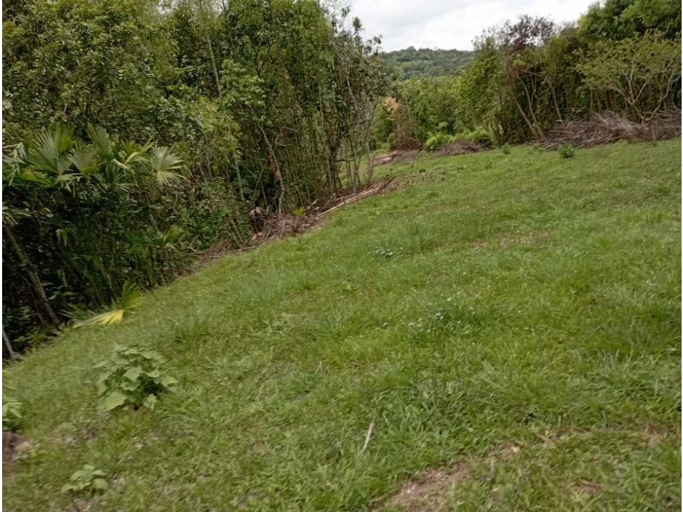 VENTA LOTE TAMESIS, SUROESTE ANTIOQUEÑO