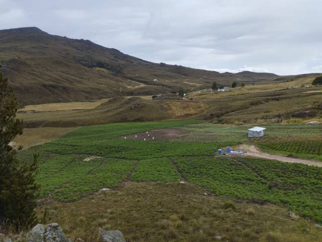 Venta de Finca en Tona Santander