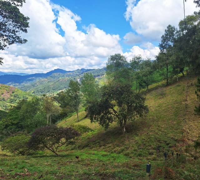 1 fanegada en Las Lajas